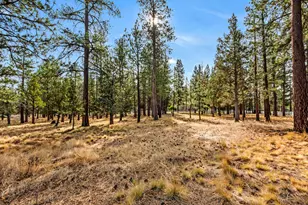 69550 Deer Ridge Rd, Sisters, OR 97759 - Photo 68