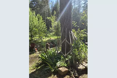 707 McMullen Creek Road, Selma, OR 97538 - Photo 54