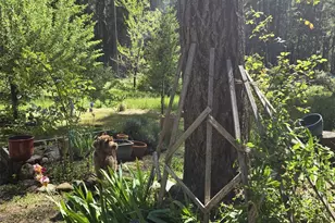 707 McMullen Creek Rd, Selma, OR 97538 - Photo 54