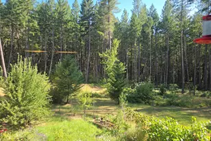 707 McMullen Creek Rd, Selma, OR 97538 - Photo 54