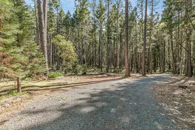 707 McMullen Creek Road, Selma, OR 97538 - Photo 46