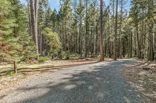 707 McMullen Creek Rd, Selma, OR 97538 - Photo 46