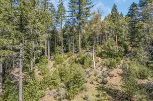 707 McMullen Creek Rd, Selma, OR 97538 - Photo 52