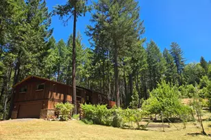 707 McMullen Creek Rd, Selma, OR 97538 - Photo 40