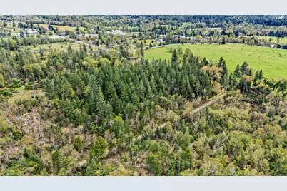 323 Valley Heights Road, Selma, OR 97538 - Photo 4