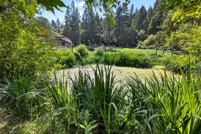 3950 Little Applegate Road, Jacksonville, OR 97530 - Photo 44
