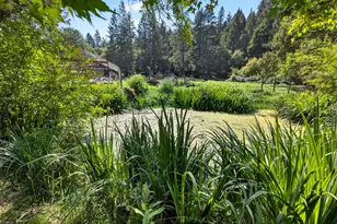 3950 Little Applegate Rd, Jacksonville, OR 97530 - Photo 44