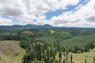 42051 Clark Smith Dr, Lebanon, OR 97355 - Photo 34