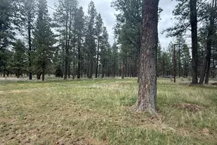 21717 Moccasin Ln, Chiloquin, OR 97624 - Photo 46