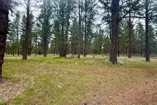 21717 Moccasin Ln, Chiloquin, OR 97624 - Photo 60