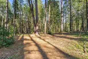 1201 Reeves Creek Rd, Selma, OR 97538 - Photo 32