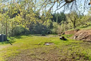 331 Newt Gulch Rd, Wilderville, OR 97543 - Photo 38