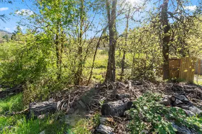 331 Newt Gulch Road, Wilderville, OR 97543 - Photo 36