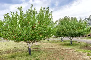 2245 Colestin Rd, Ashland, OR 97520 - Photo 36