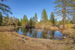 2410 Robertson Bridge Rd, Grants Pass, OR 97526 - Photo 4
