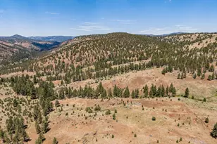0 N U S 395, Mount Vernon, OR 97865 - Photo 44