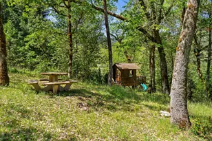 2175 Birdseye Creek Rd, Gold Hill, OR 97525 - Photo 46