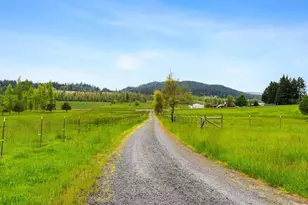 84115 N Enterprise Rd, Pleasant Hill, OR 97455 - Photo 102