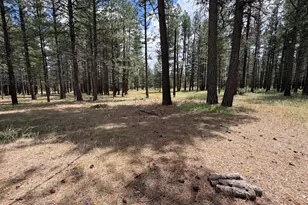 24460 Meadow Ln, Sprague River, OR 97639 - Photo 24