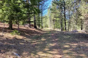 600 NE Lofton Creek Rd, Prineville, OR 97754 - Photo 50