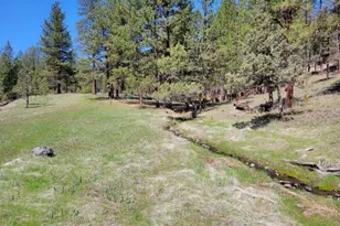 600 NE Lofton Creek Rd, Prineville, OR 97754 - Photo 64