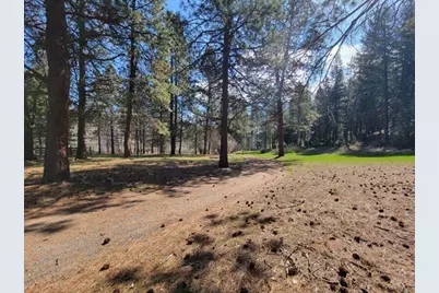 600 NE Lofton Creek Road, Prineville, OR 97754 - Photo 54