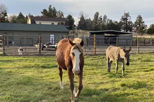 22520 Carolyn Ct, Bend, OR 97701 - Photo 36