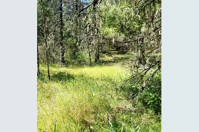 Redwood Highway #TL 211, Selma, OR 97538 - Photo 10