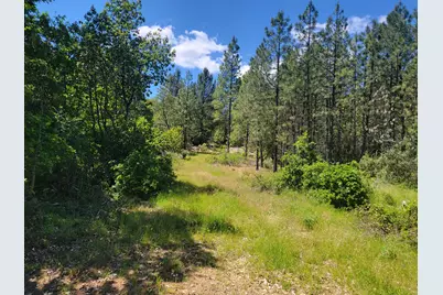 Redwood Highway #TL 211, Selma, OR 97538 - Photo 6