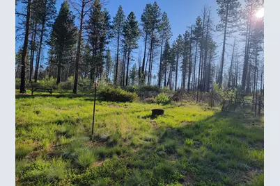 0 Oregon 62, Chiloquin, OR 97624 - Photo 30