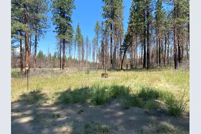 0 Oregon 62, Chiloquin, OR 97624 - Photo 40