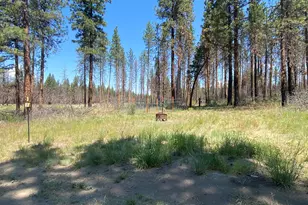 0 Oregon 62, Chiloquin, OR 97624 - Photo 40