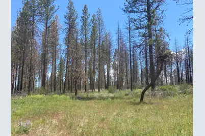 0 Oregon 62, Chiloquin, OR 97624 - Photo 38