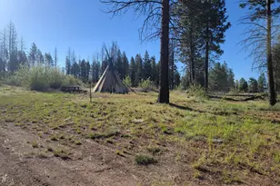 0 Oregon 62, Chiloquin, OR 97624 - Photo 18