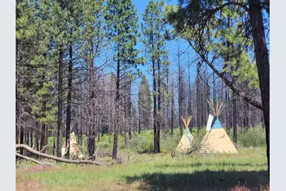 0 Oregon 62, Chiloquin, OR 97624 - Photo 8