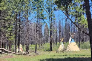 0 Oregon 62, Chiloquin, OR 97624 - Photo 8