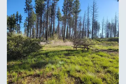 0 Oregon 62, Chiloquin, OR 97624 - Photo 24