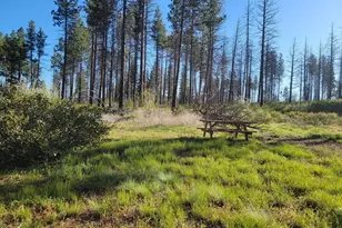 0 Oregon 62, Chiloquin, OR 97624 - Photo 24