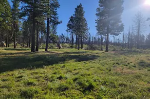 0 Oregon 62, Chiloquin, OR 97624 - Photo 32