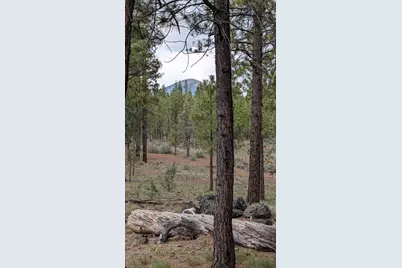 15020 Remuda Road, Sisters, OR 97759 - Photo 32