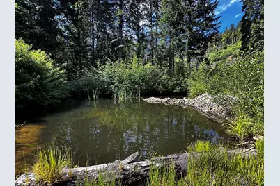 Upper Joe Creek Road #5200, Grants Pass, OR 97526 - Photo 8