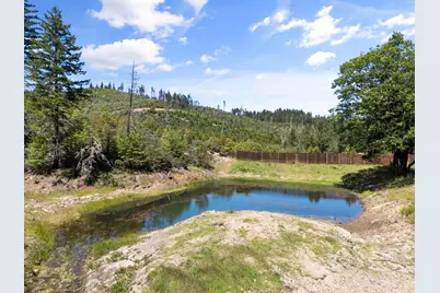 2573 Reeves Creek Road, Selma, OR 97538 - Photo 30