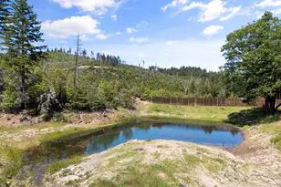 2573 Reeves Creek Rd, Selma, OR 97538 - Photo 30