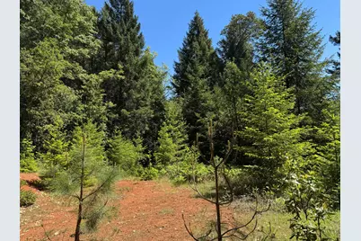 1522 Bridge Lane, Wolf Creek, OR 97497 - Photo 18