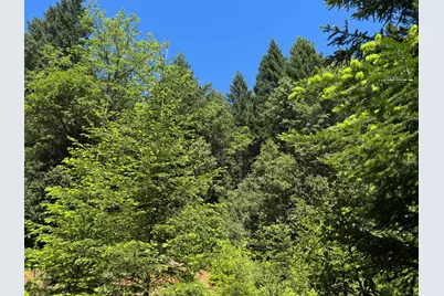 1522 Bridge Lane, Wolf Creek, OR 97497 - Photo 20
