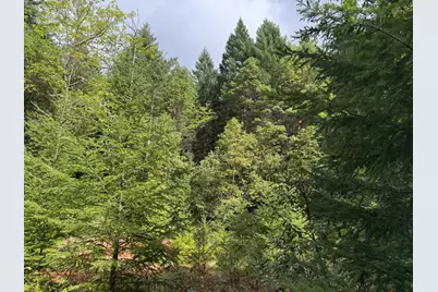1522 Bridge Lane, Wolf Creek, OR 97497 - Photo 22