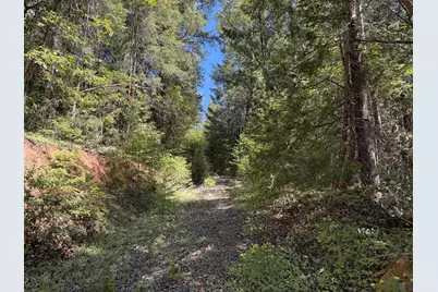 1522 Bridge Lane, Wolf Creek, OR 97497 - Photo 14
