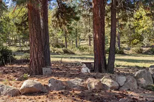 6914 Redstart Rd, Klamath Falls, OR 97601 - Photo 40