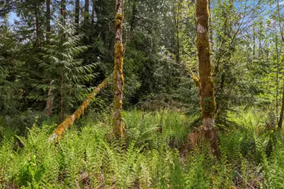 25402 S Schockley Road, Beavercreek, OR 97004 - Photo 40