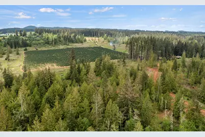 25402 S Schockley Road, Beavercreek, OR 97004 - Photo 8